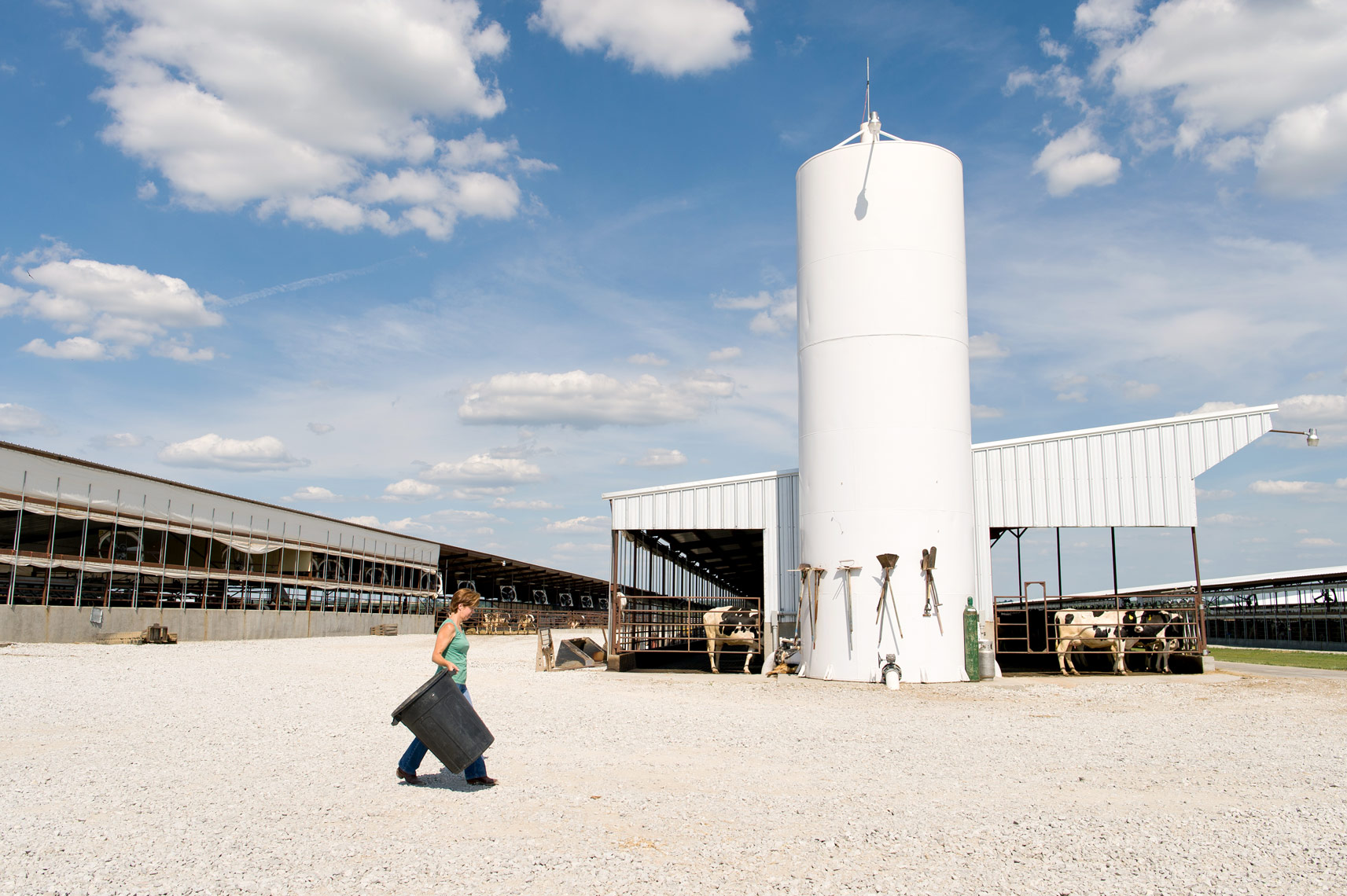 Steve Puppe Kansas City Agricultural Photographer